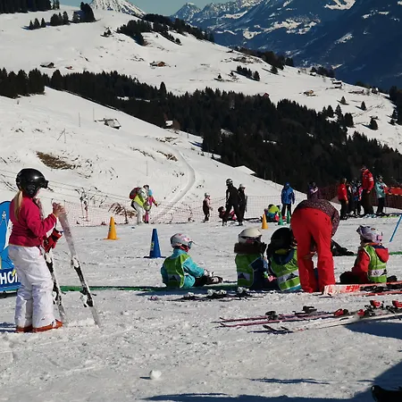 Moilles 15